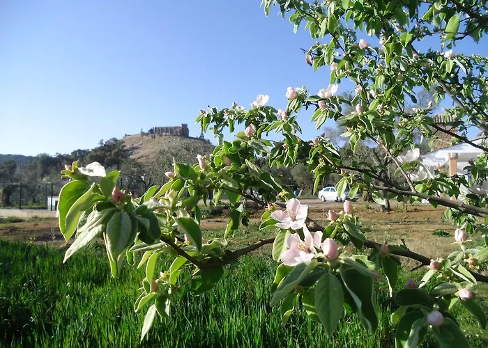 Casa Rural La Serrana De Aracena